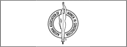 Piracle Software Logo